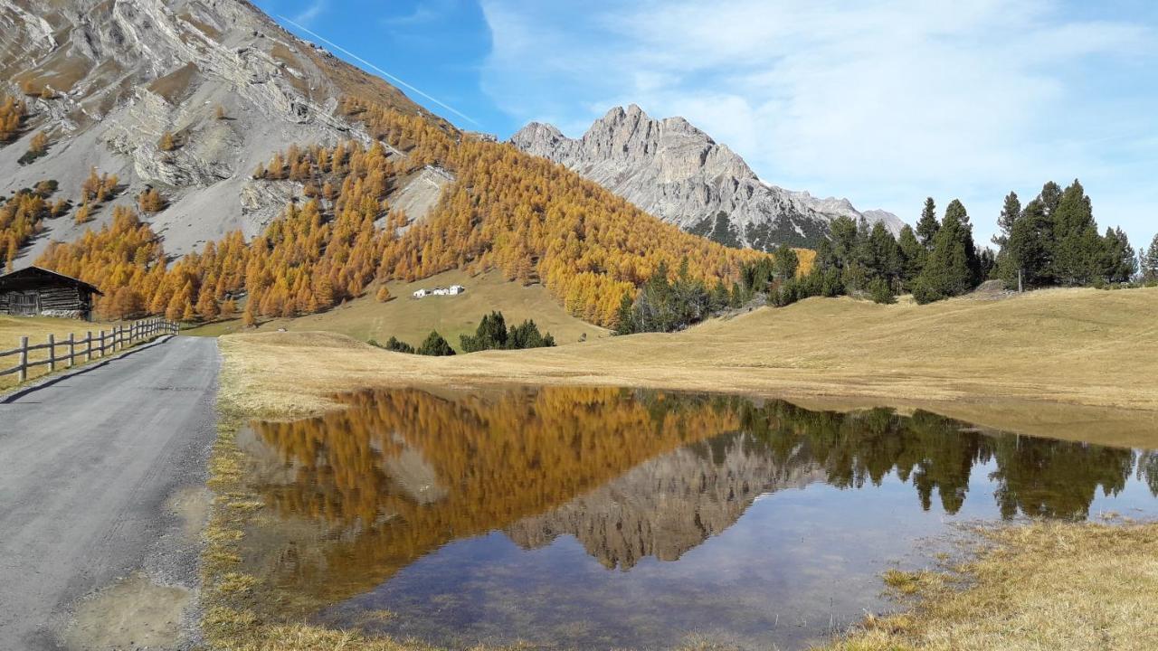 Appartamenti Baita Soliva Ога Экстерьер фото